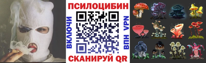 Галлюциногенные грибы MAGIC MUSHROOMS  где продают наркотики  Богданович 